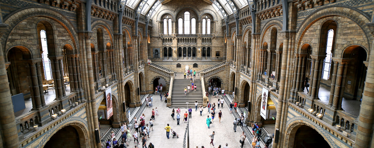 Visita de Estudo ao Museu de História Natural, em Londres | PLV EScolas